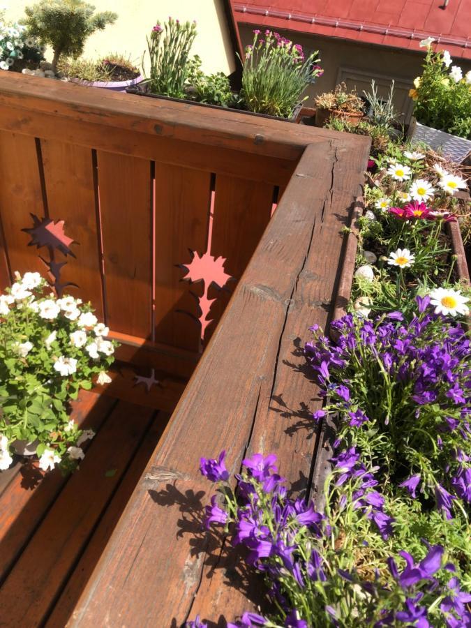 Apartman Relax Wysokie Tatry Zewnętrze zdjęcie